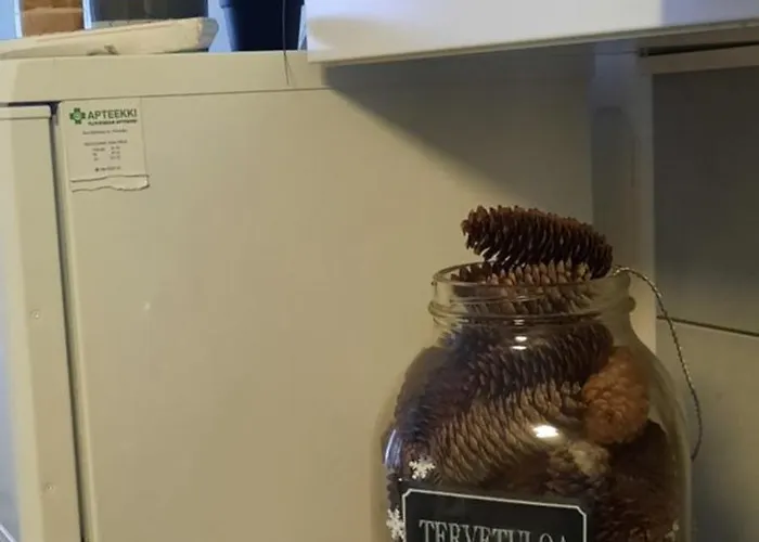 Puotipuisto * 上维耶斯卡