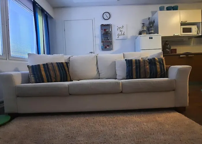 公寓 Puotipuisto 上维耶斯卡