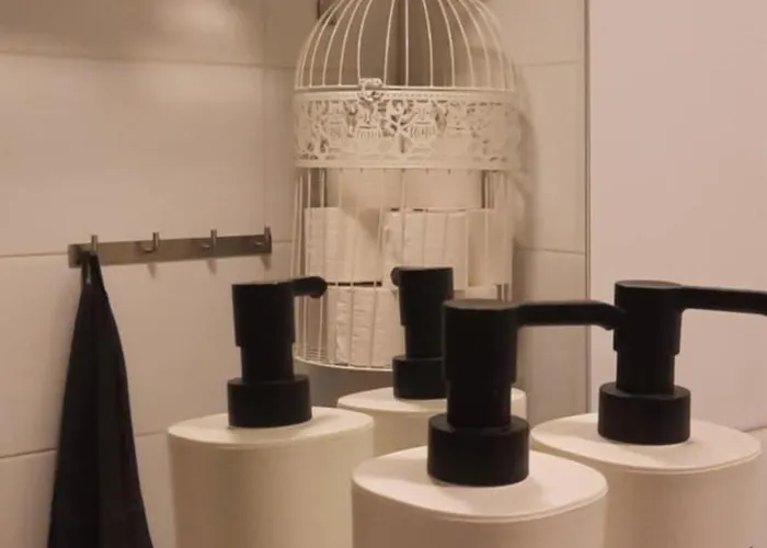 Puotipuisto Ylivieska